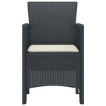 vidaXL Chaises de Jardin avec Coussins 2 Pièces Anthracite Rattan Plastique