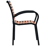 vidaXL Chaises de jardin lot de 2 Acier et WPC Noir et marron