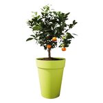 Pot de fleurs rond haut Loft Urban Ø 28 cm - Blanc