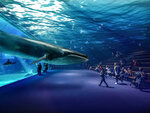 SMARTBOX - Coffret Cadeau Nausicaá : entrée pour 1 adulte et 1 enfant à l'aquarium de Boulogne-sur-Mer en basse saison -  Sport & Aventure