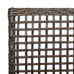 Chaises de jardin vidaXL 2 Pièces avec coussins marron en poly rotin
