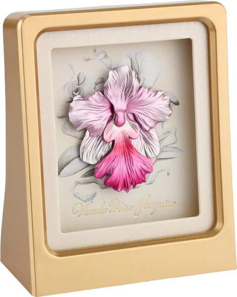 Pièce de monnaie en Cupronickel - Argent g Millésime 2024 Mini Frame VANDA MISS JOAQUIM