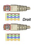 Câble/Cordon réseau RJ45 Catégorie 6 FTP (F/UTP) Droit 10m (Gris)