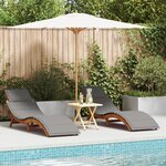 Chaises longues vidaXL avec coussins (2 Pièces) - Gris foncé  en bois d'acacia massif