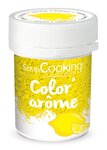 Color'arôme pour pâtisserie Jaune / citron 10g