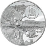 Pièce de monnaie en Argent 3000 Shillings g 155.5 (5 oz) Millésime 2022 Growing Up LIONS