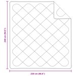 vidaXL Couette avec oreiller 3 pièces Blanc Microfibre
