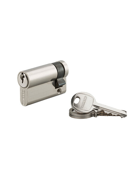 THIRARD - Demi-cylindre de serrure SA UNIKEY (achetez-en plusieurs ouvrez avec la même clé) 45x10mm 3 clés nickel - THIRARD
