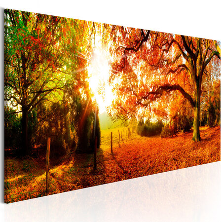 Tableau - magic of autumn l x h en cm 150x50