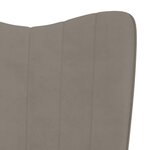 vidaXL Chaise de relaxation avec repose-pied Gris clair Velours