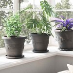 vidaXL Pot à fleurs rond 6 Pièces Noir Ø 26 x 21 5 cm Plastique