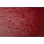Boite De Classement Exabox Dos 25mm Carte Lustrée - A4 - Rouge - X 8 - Exacompta