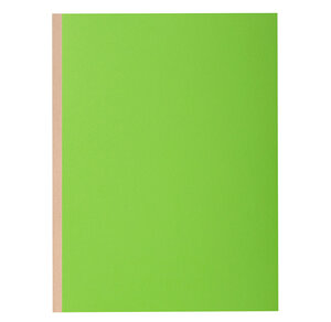 Pt 10 chem.à soufflet ROCK''S 320g vert x 10 EXACOMPTA