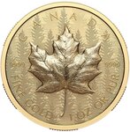 Pièce de monnaie en Or 200 Dollars g 33.17 Millésime 2024 MAPLE LEAF