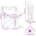 vidaXL Chaise de camping avec poche pliable lot de 2 bleu vif