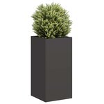 vidaXL Jardinière noir 40x40x80 cm acier laminé à froid