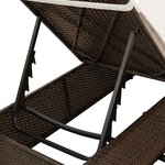 vidaXL Transat double avec toit Marron 205 x 129 x 200 cm Rattan PE