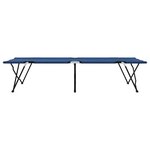 vidaXL Lit de camping pliant 2 Pièces Bleu 206 x 76 x 74 cm Tissu Oxford