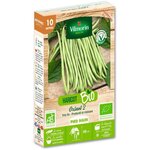 Haricot nain vert sans fil Oxinel 2 bio  10m Vilmorin