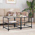 vidaXL Tables basses avec dessus en verre transparent 2 Pièces acier