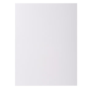 Pt 10 chemises ROCK''S 220 blanc x 10 EXACOMPTA