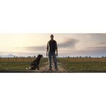 Farming Simulator 19 Édition Premium Jeu PC