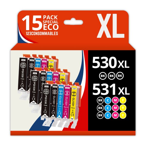 123CONSOMMABLES - PGI530 - CLI531 - Cartouche d'encre Compatible avec Canon PGI-530 / CLI-531 Multipack pour Pixma TS8750 TS8751 (6 Noir / 3 Cyan / 3 Magenta / 3 Jaune)