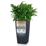 LECHUZA Jardinière Cubico Color 40 ALL-IN-ONE ardoise 13158