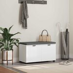 vidaXL Banc d'entrée avec coussin avec stockage Blanc 80 x 46 x 46 cm