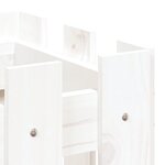 vidaXL Lit surélevé de jardin design de clôture 100x30x30cm pin massif