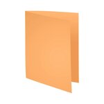 Paquet 100 Chemises Super 160 - 24x32cm - Couleurs Assorties - X 5 - Exacompta