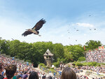 Puy du fou® – séjour famille 2 jours / 1 nuit – hôtel la villa gallo-romaine 2 adultes et 1 enfant en 2023 - smartbox - coffret cadeau séjour