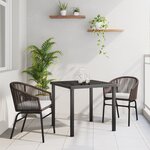 vidaXL Set de Jardin de Salle à Manger de 3 Pièces Marron Poly Rattan
