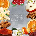 Desodorisant Maison Bougie Parfumée Huiles Essentielles Anti-Tabac AIR WICK