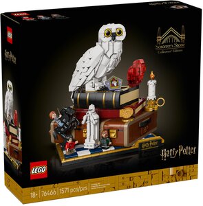 LEGO Harry Potter L'école des sorciers Édition collector 76466
