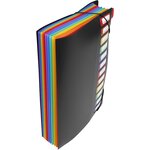 Trieur accordéon 12 compartiments en plastique format A4 - Rainbow Class