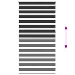 Store enrouleur tamisant 120 x 230 cm noir