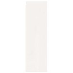vidaXL Armoires murales 2 Pièces Blanc 30x30x100 cm Bois de pin massif