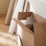 Pack and Move - Particules de Calage pour carton - 20 L - Protection Déménagement et Expédition - Chips Naturelle de maïs pour Emballer  Protéger