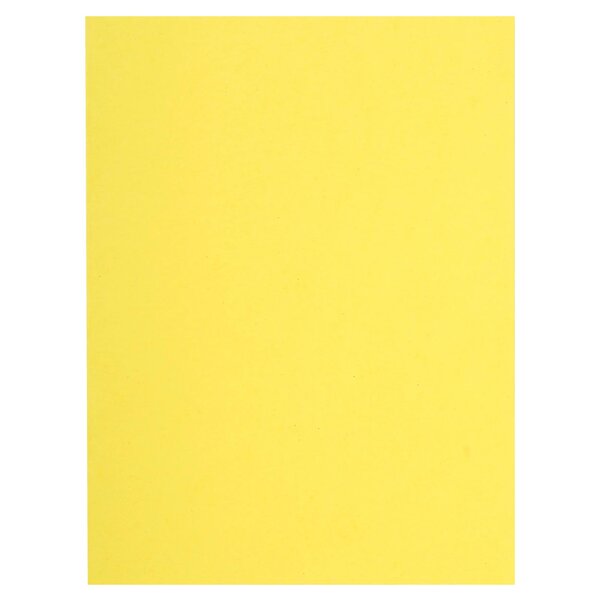Paquet De 100 Chemises Flash 220 100  Recyclé - 24x32cm - Canari - X 5 - Exacompta
