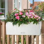 LECHUZA Jardinière BALCONERA Cottage 50 ALL-IN-ONE Blanc