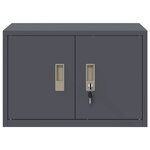 vidaXL Armoire de rangement Anthracite 60 x 40 x 40 cm Acier