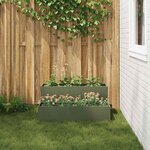 vidaXL Cache-pot de jardin Vert olive 100 x 60 x 45 cm Acier