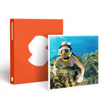 SMARTBOX - Coffret Cadeau Plongée en Corse : sortie en snorkeling d’1h et baptême de 30 min à Calvi -  Sport & Aventure