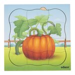 À la ferme - la citrouille pousse  31 pièces de puzzle