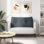 vidaXL Coussin de Dos Gris foncé 100 x 24 x 50 cm Velours