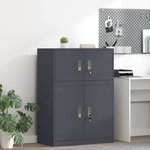 vidaXL Armoire de rangement Anthracite 80 x 40 x 40 cm Acier