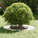 vidaXL adapté pour anneaux d'arbre plats 5 Pièces Argent Ø40 / 70 cm