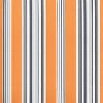 vidaXL Tissu de remplacement de cantonnière d’auvent multicolore 6 m