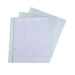 Sachet de 10 pochettes perforées polypropylène grainé format écolier 17x22cm EXACOMPTA